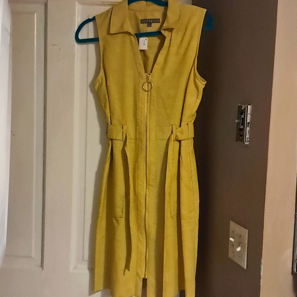Sharagano Dress